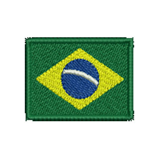 Brazilian Flag 12669