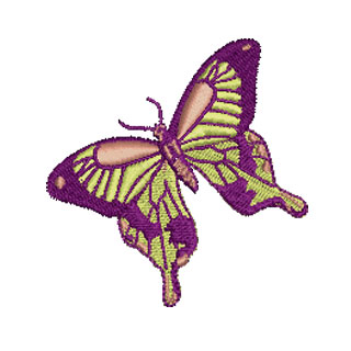 Butterfly 12802