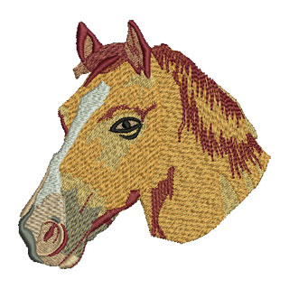 Horses Head 13855