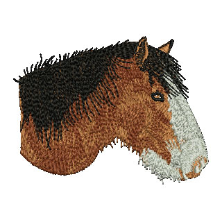 Horses Head 13856