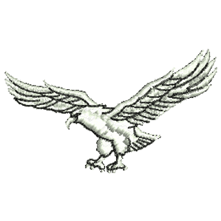 Eagle 10935