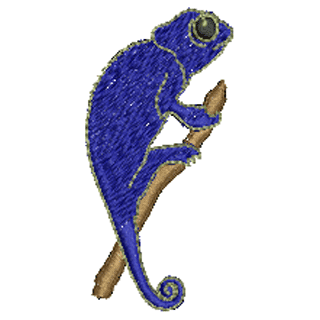 Gecko 20615