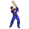 Cricket 10803
