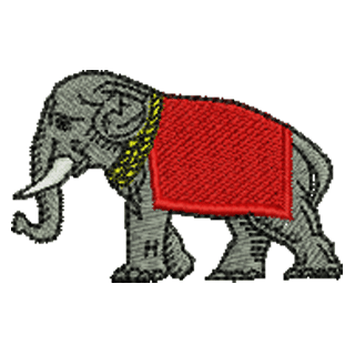Elephant 11224
