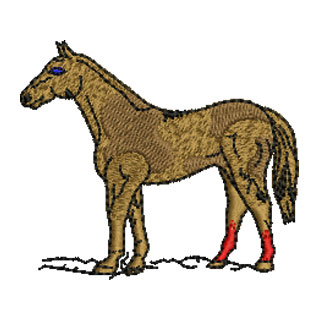 Horse 13836
