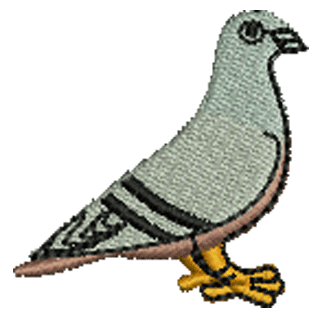 Pigeon 11253