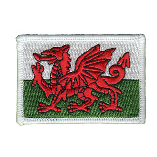 Welsh Flag x 10