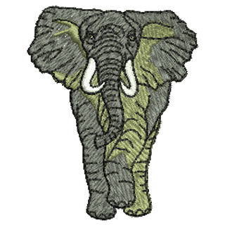 Elephant 20654