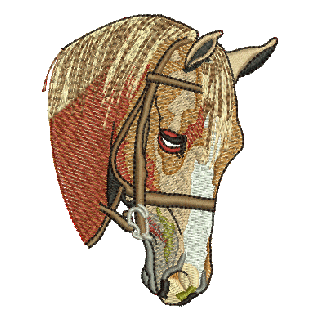 Horse 10034