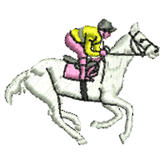 Horse Rider 10456