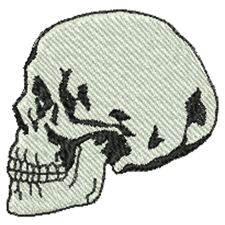 Skull 10781