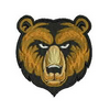 Bear Cubs 13406