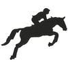 Horse Jumper 11669
