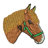 Horse Head 13846