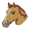 Horses Head 13855