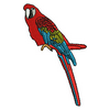 Parrot 12873