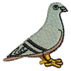 Pigeon 11253