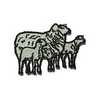 Sheep 12900