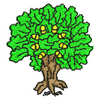 Oak Tree 10978