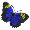Butterfly 10173