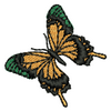 Butterfly 12294