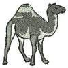 Camel 10904