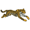 Cheetah 12017
