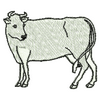 Cow 20634