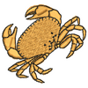Crab 10923