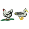 Duck & Chicken 12069
