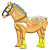 Horse 10988