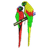 Parrot 10614
