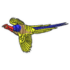 Pheasant 10986
