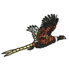 Pheasant 12169
