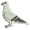 Pigeon 10567