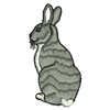 Rabbit 20645