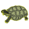Turtle 20630